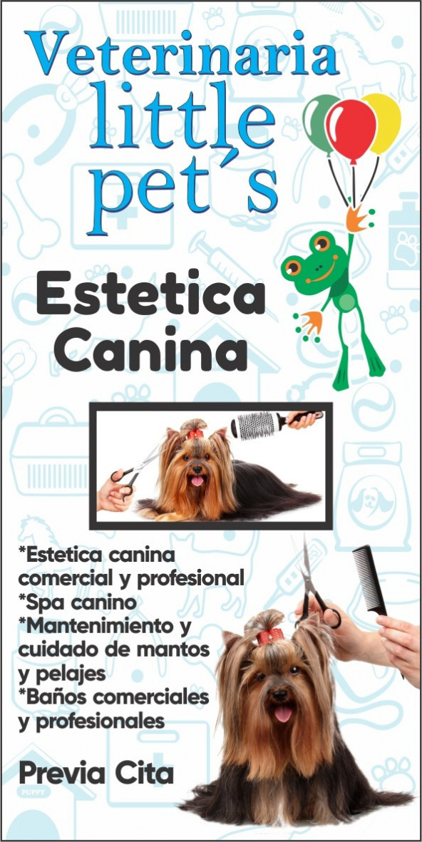 Little pet´s